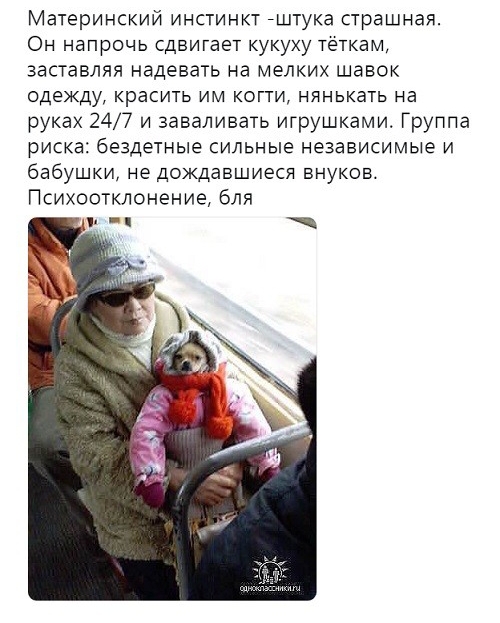 Материнский инстинкт йштука страшная Он напрочь сдвигает кукуху теткам заставляя надевать на мелких шавок одежду красить им когти нянькать на руках 247 и заваливать игрушкамит Группа риска бездетные сильные независимые и бабушки не дождавшиеся внуков Психостклонение бля