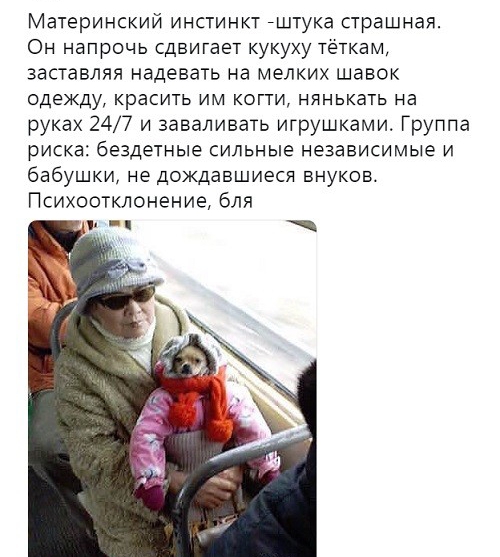 Материнский инстинкт гштука страшная Он напрочь сдвигает кукуху теткам заставляя надевать на мелких шавок одежду красить им когти нянькать на руках 247 и заваливать игрушками Группа риска бездетные сильные независимые и бабушки не дождавшиеся внуков Психостклонение бля