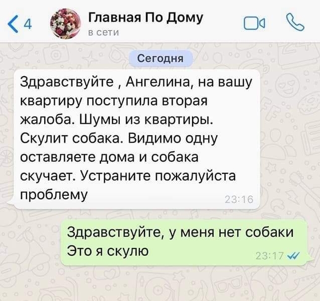 Сегодня Здравствуйте Ангелина на вашу квартиру поступила вторая жалоба Шумы из квартиры Скулит собака Видимо одну оставляете дома и собака скучает Устраните пожалуйста проблему Здравствуйте у меня нет собаки Это я скулю _