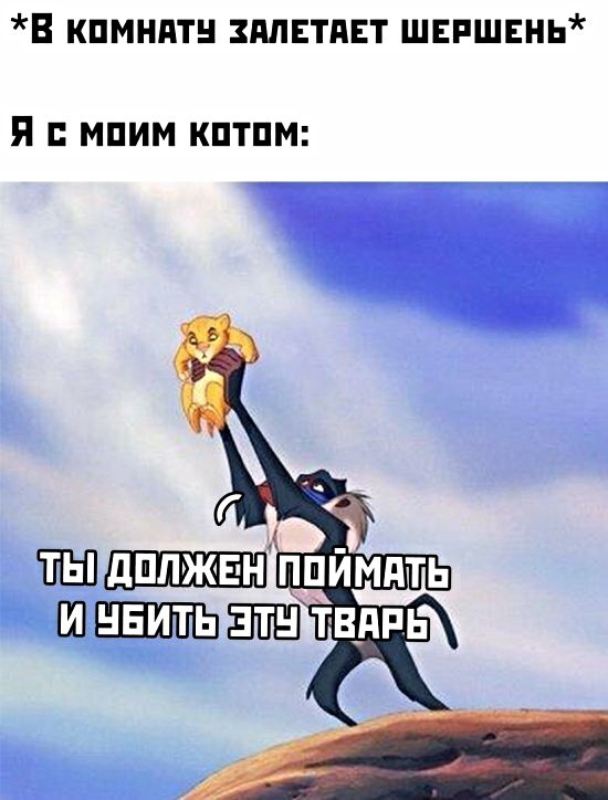 В кпмнптн плвтдвт швпшвнь я мпим кптпм