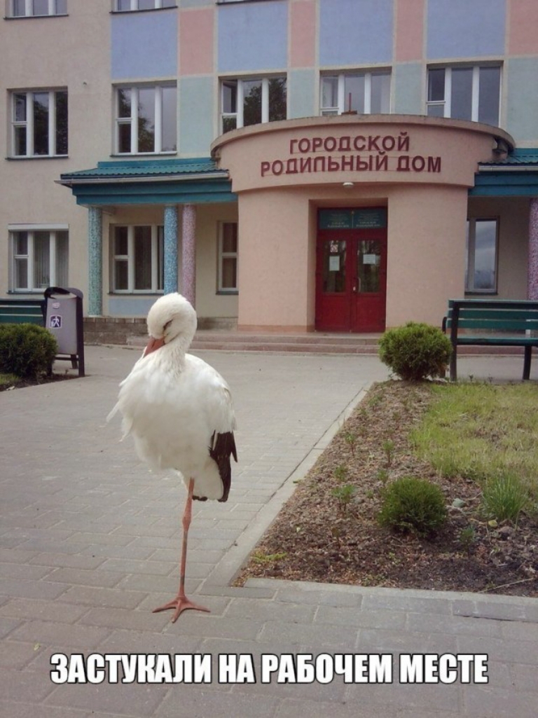 городскр ропипьныи пом