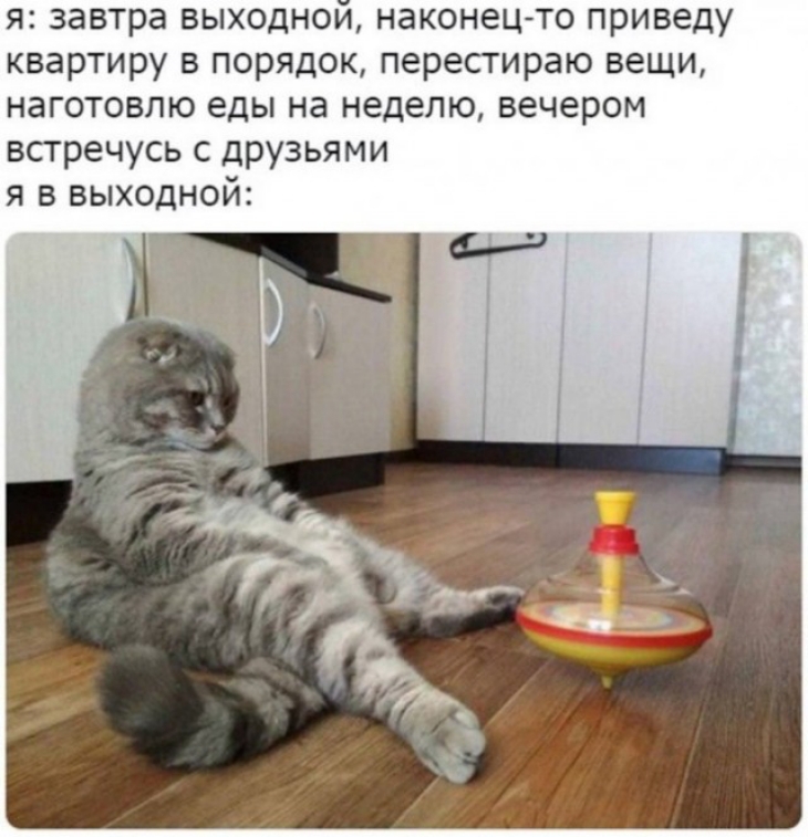 я завтра выходнои наконец то приведу квартиру в порядок перестираю вещи наготовпю еды на неделю вечером встречусь с друзьями я в выходной