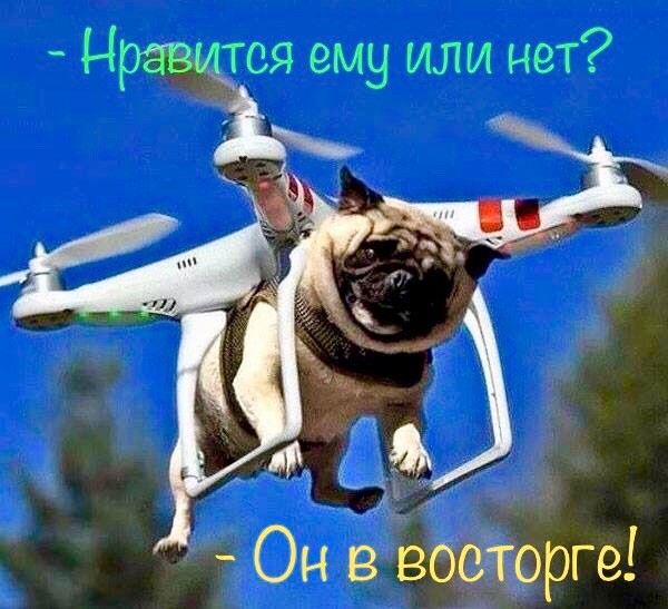 Нравится ему или нет 3 8 ЦЪ _ восторге