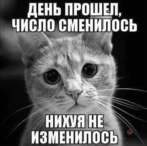 дЕНЬ прошеп ЧИВЛП ВМЕНИЛПВЬ