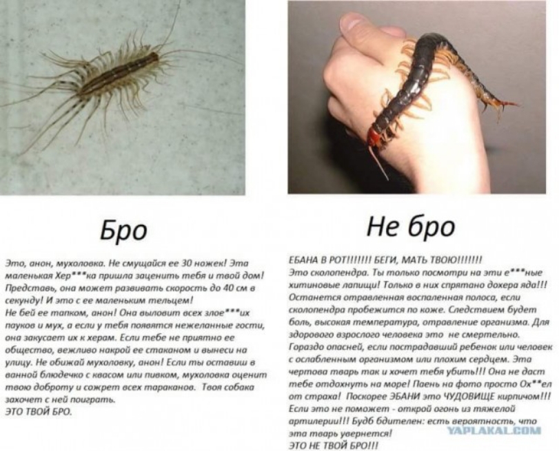 Бро Мммлупт ЮщшпЬкЮИопеніт щщтипп любиММ гьсдаищмшмишмьтмдошод адуттиі Мктщми10штке тш ттиипатупкбитие еттнктц тпщкщішпибеишшпп на иитптшимкиив улицу раввина м л ммм тыбтдтгшшшмщтмтщт тишмуиш р мпмтщ тм с этими Не бро мм ютнт ши ммь шаттл эм итти Уи а эти внн што ц лип иш 1 иш поимка дит дали аши отримюи от кт тиви шви шиш шт аудм бам лип рит этиш ение шпиц ща то по ие пижама Гирш Эа тий или п рсб