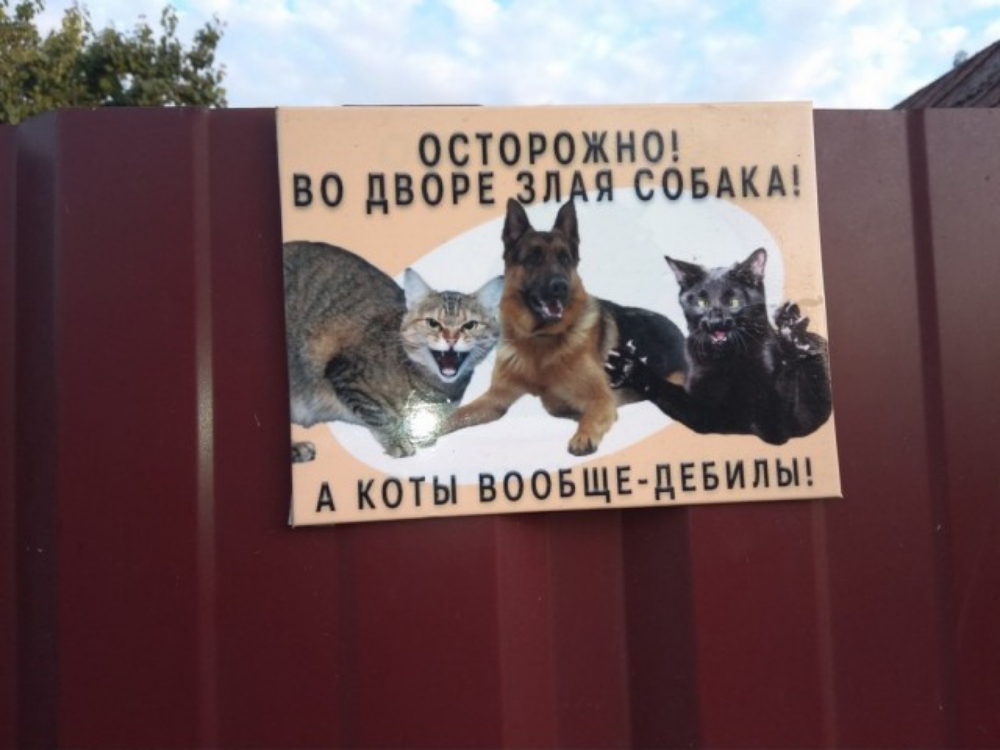 ОСТОРОЁНОЕ СОБАКА А КОТЫ ВООБЩЕ ЦЕБИЛЫ