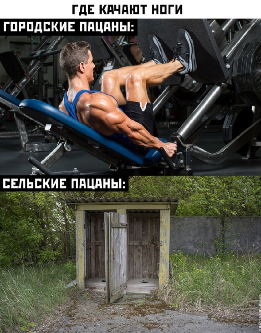 ГдЕ КдЧдШТ НПГИ ГПРПдЕКИЕ ППЦПНЫ СЕПЬБКИЕ ППЦПНЫ _гф _