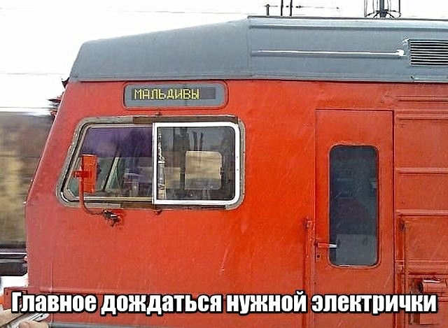 ИППЬДИВЫ га павиан дождаться нужной ЗЛВШПИШИ