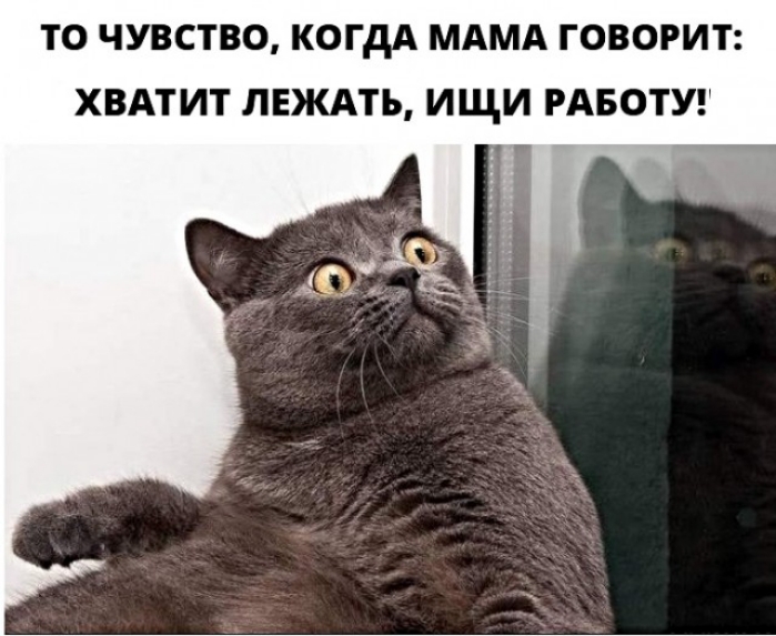 ТО ЧУВСТВО КОГДА МАМА ГОВОРИТ ХВАТИТ ЛЕЖАТЬ ИЩИ РАБОТУ