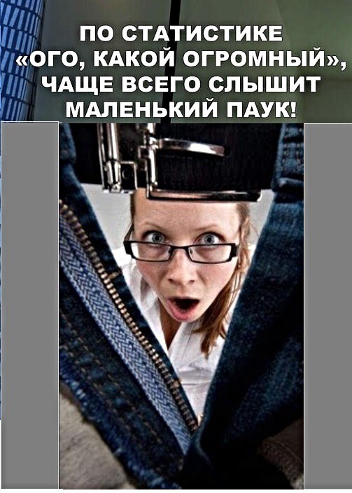 ПО СТАТИСТИКЕ ГО КАКОЙ ОГРОМНЫЙ ЧАЩЕ ВСЕГО СПЫШИТ МАЛЕНЬКИЙ ПАУК