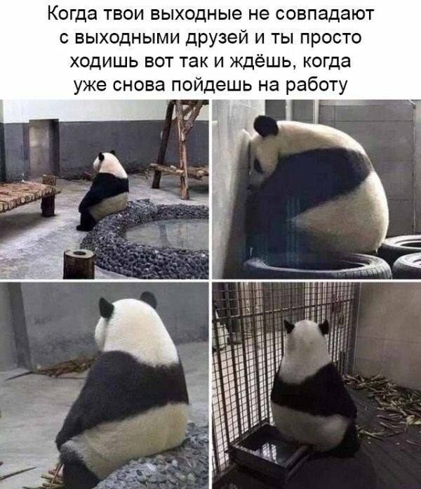 Когда твои выходные не совпадают с выходными друзей и ты просто ходишь вот так и ждёшь когда уже снова пойдешь на работу