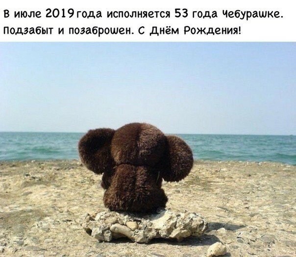 В июле 2019года исполняется 53 года Чебурашка подзабыт и поэаброшен с днём Рождения