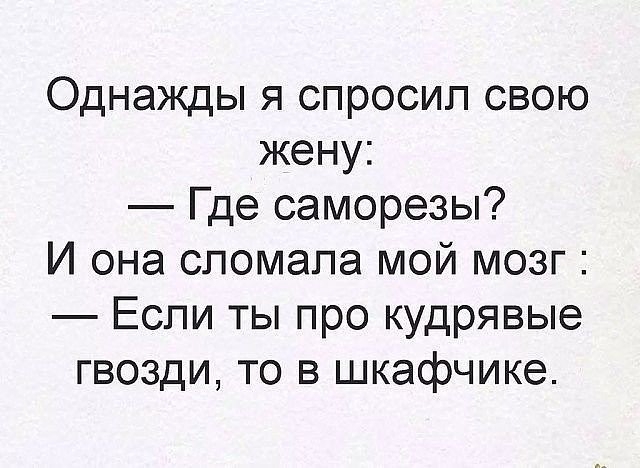 Однажды я спросил свою жену Где саморезы И она сломала мой мозг Если ты про кудрявые гвозди то в шкафчике