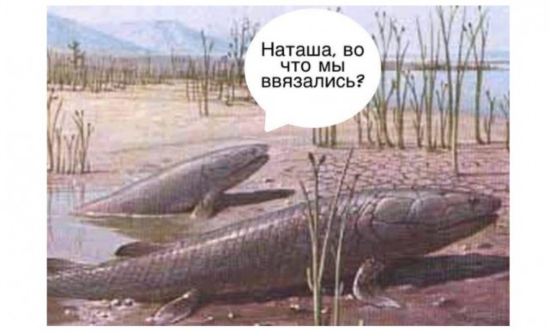 Наташа во что мы ввязались