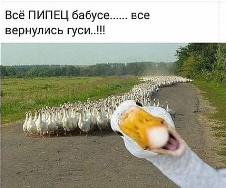 Всё ПИПЕЦ бабусе все вернулись гуси