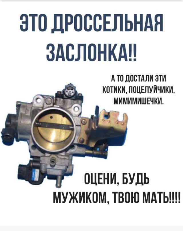 ЭТП ДРОССЕЛЬНАН ЗАСЛОНКАН А ТО ЛПСТАЛИ ЗТИ КОТИКИ ППЦЕЛУЙЧИКИ МИМИМИШЕЧКИ ОЦЕНИ БУДЬ Мужикам твою мдты