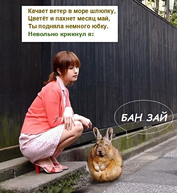 Качает ветер в море шлюпку Цветёт и пахнет месяц май Ты подняла немного юбку Невольно крикнул я