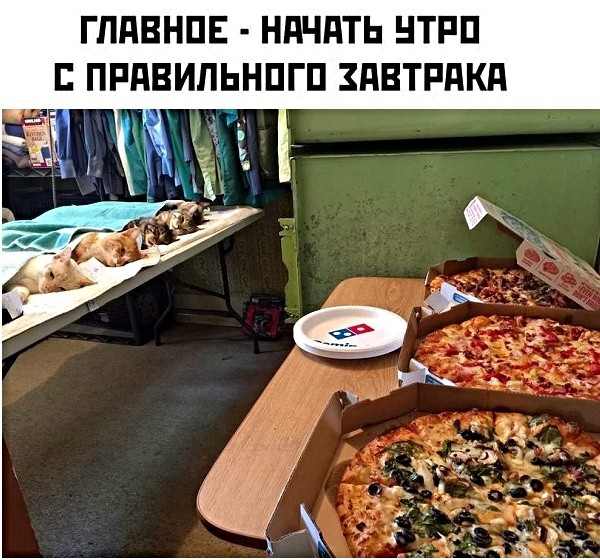 ГППВНПЕ НдЧдТЬ НТРП ПРПВИПЬНПГП ЗПВТРПКП