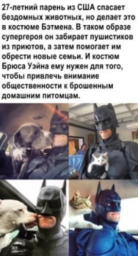 27 летий парень и сшд списан бездоииых живыиых ио д па это костюми Бэт и в ком обра сумки рон ои забирая пушистики из притон зпеи помоши ии обресги новые семьи и кости Брюса Узйия ему нужен или того чтбы припмчь вии паки общичвоииии к брошоиныи дпиашиим питании