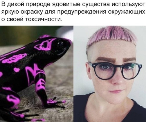 В дикой природе ядовитые существа используют яркую окраску для предупреждения окружающих о своей токсичности