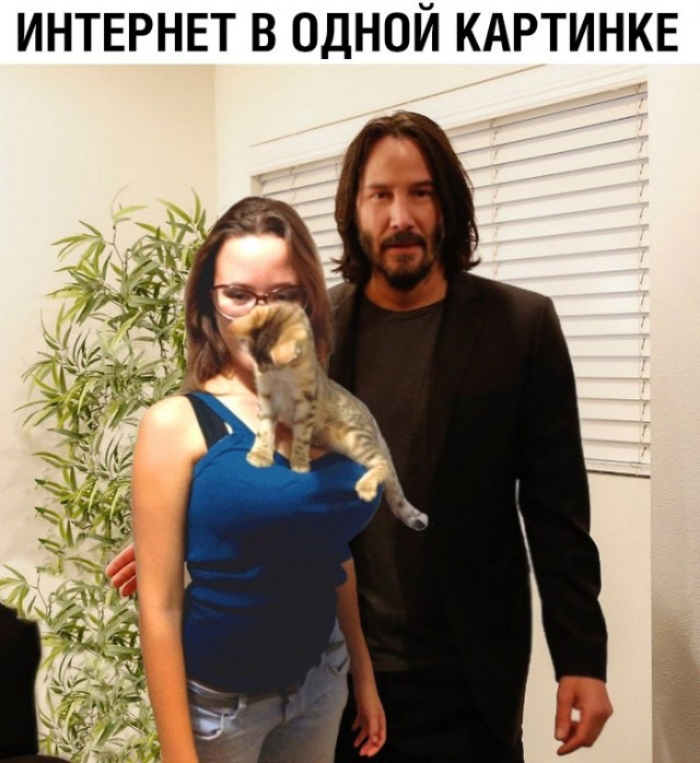 ИНТЕРНЕТ В ОДНОЙ КАРТИНКЕ