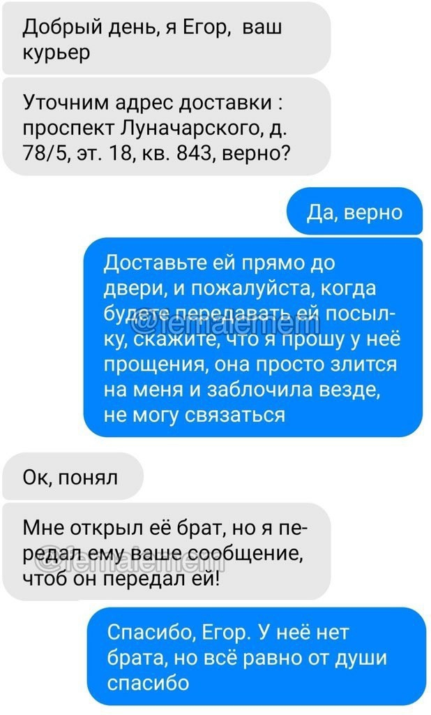 Добрый день я Егор ваш курьер Уточним адрес доставки проспект Луначарского д 785 эт 18 кв 843 верно Ок понял Мне открыл её брат но я пе редал ему ваше сообщение чтоб он передал ей