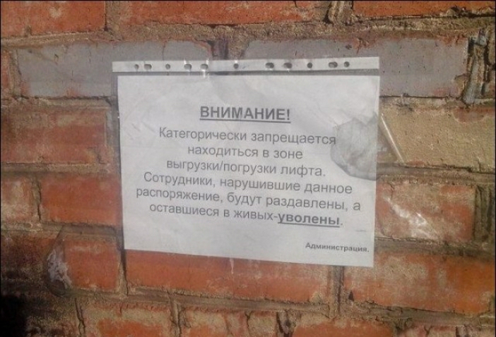 тиви я 1 км ж шп