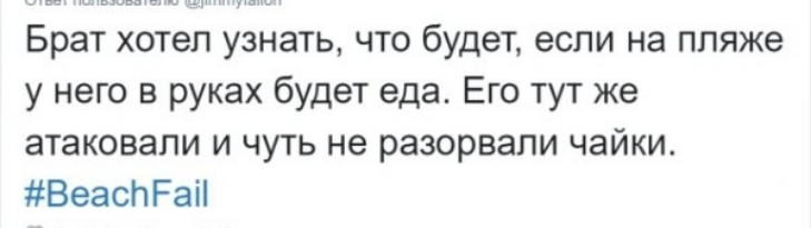 Брат хотел узнать что будет если на пляже у него в руках будет еда Его тут же атаковали и чуть не разорвали чайки ВеасЬРаіі
