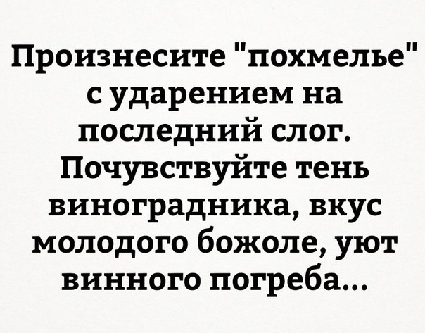 Произнесите похмелье с ударением на последний слог Почувствуйте тень виноградника вкус молодого божоле уют винного погреба