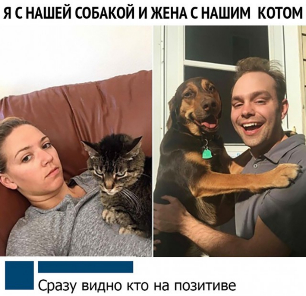 Я С НАШЕЙ СОБАКОЙ И ЖЕНА С НАШИМ КОТОМ Сразу видно кто на позитиве