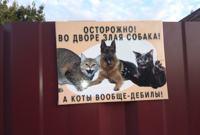 ОСТОРОЖНО П Я СО ВАКА _ в А КОТЫ ВООБЩЕ ЦЕБИПЫ