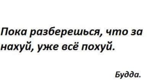 Пока разберешься что за нахуй уже всё похуй Будда