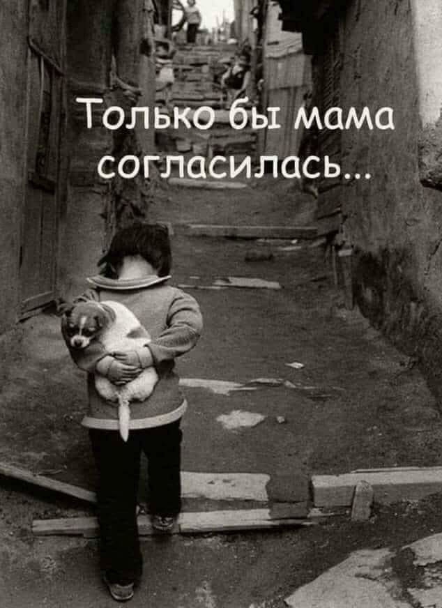 3 53 Топ акб бы Мама согащс_илась