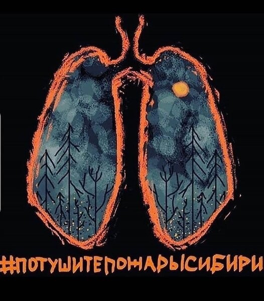 птыитвпомрйсишш