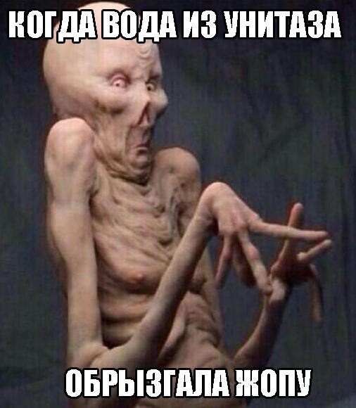 НПГдд ВВМ ИЗ УНИТАЗА овгызгдпд нюпи