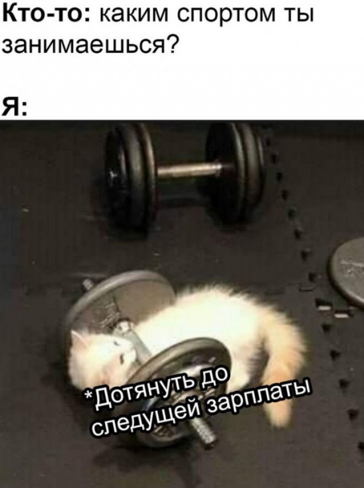 Кто то каким спортом ты занимаешься Я