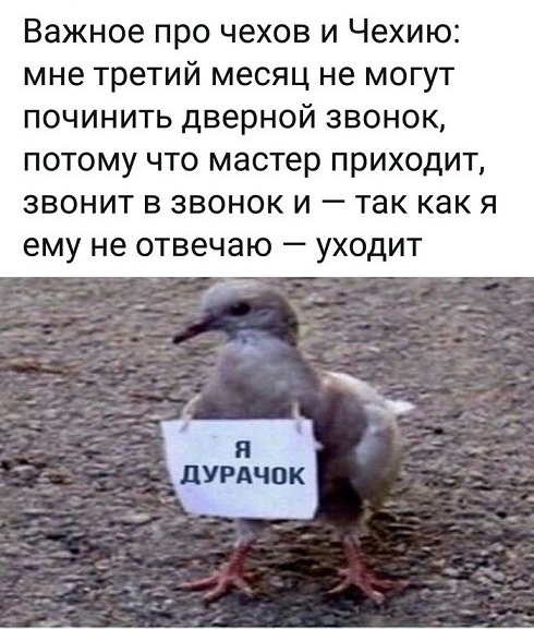 Важное про чехов и Чехию мне третий месяц не могут ПОЧИНИТЬ дверной ЗВОНОК ПОТОМУ ЧТО мастер ПРИХОДИТ ЗВОНИТ В ЗВОНОК И _ ТЭК как Я ЕМУ не ОТВЕЧЭЮ _ УХОДИТ 4 ЛУРАЧОК