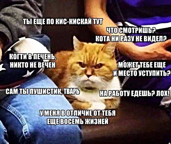 ___ иілпи в ПЕЧЕНЬ ииитоиъпъіш ишщпшщъ у _ имшочетипитьр