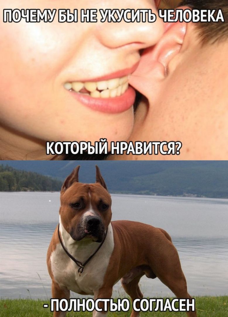 ПФЧЕМУ УКУИТЬ ЧЕЛЁЭВЕКА