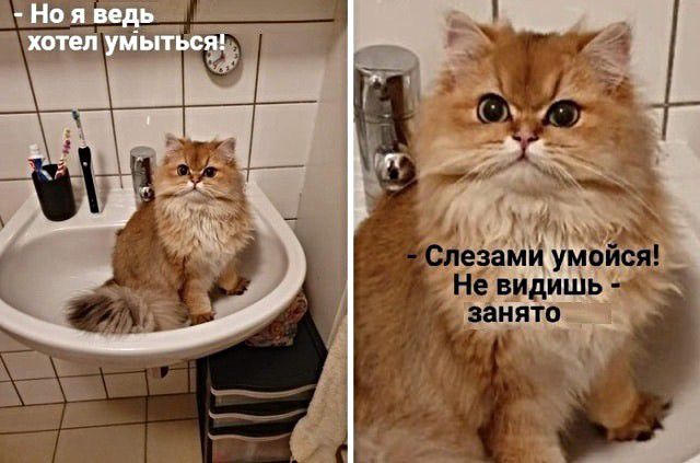 азами у _ Не видишъ занято