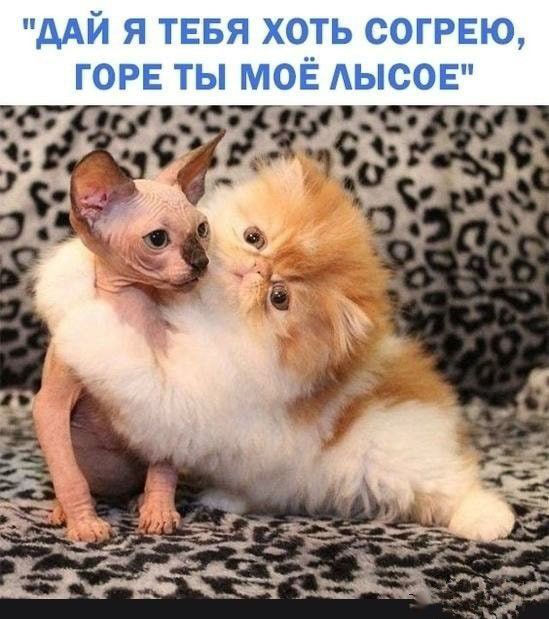ААЙ Я ТЕБЯ ХОТЬ СОГРЕЮ ГОРЕ ТЫ МОЁ АЫСОЕ ч ира 3141 с чдр З 95 35