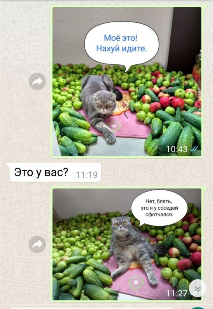 Мое это Нахуй идите Не блять это я у соседей сФогкался