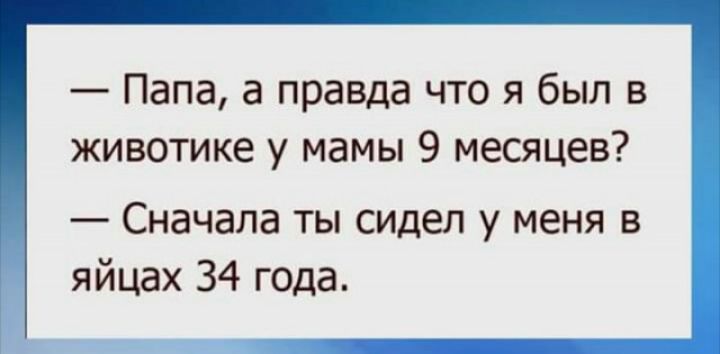 Папа правда. Мужики когда ездите по ушам не превышайте скорость картинки.