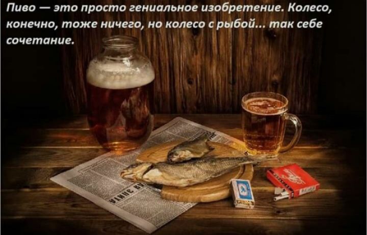 Пива это просто гениальное изобретщіие Колесо конечно тоже ничего но качаю Бой так себе сочетание