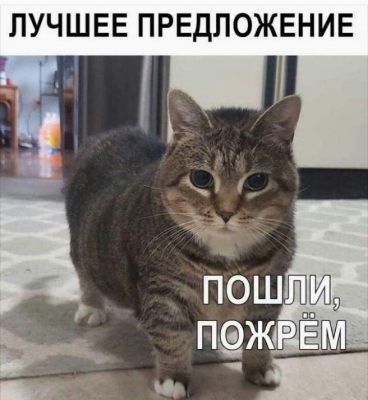 ЛУЧШЕЕ ПРЕДЛОЖЕНИЕ