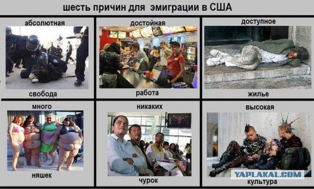 шесть причин для эмиграции в США доступное 6сптип ииших то ь иш АКА ним А культур