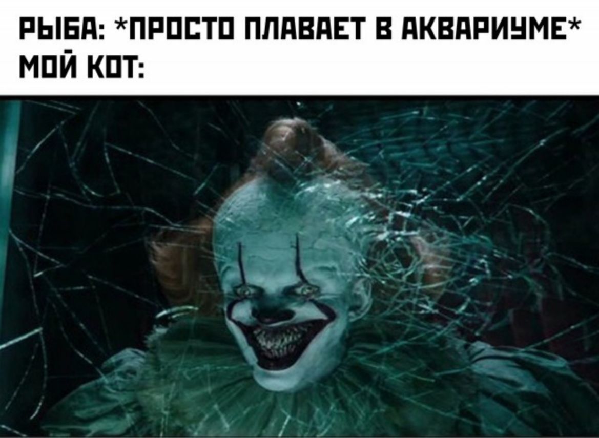 пывд прпстп ППдВдЕТ в дквдпинмв мпй КПТ 7 _ _ и Ф імх