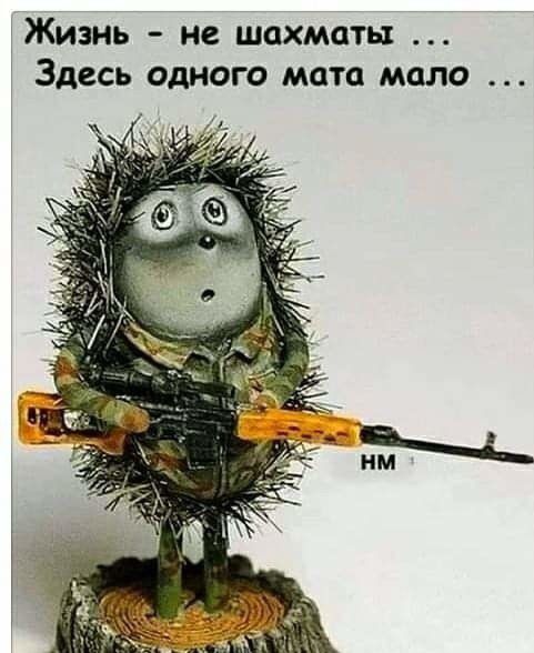 Жизнь не шахматы Здесь одного мата мало