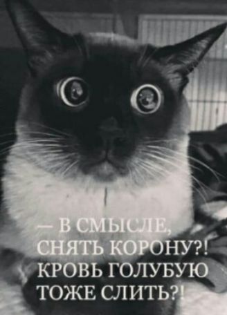 г лув ТОЖЕ слить