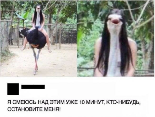 Я СМЕЮСЬ НАД ЭТИМ УЖЕ 10 МИНУТ КТО НИБУДЬ ОСТАНОВИТЕ МЕНЯ